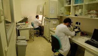 Genetic Diagnosis Center 2