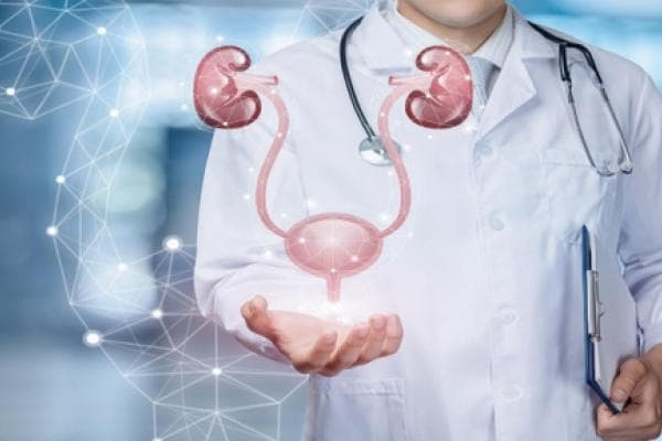Prostate Preventive Cancer Treatment: Focal HIFU