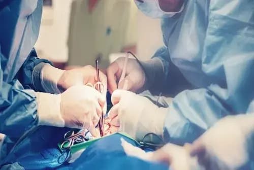 Cardiology