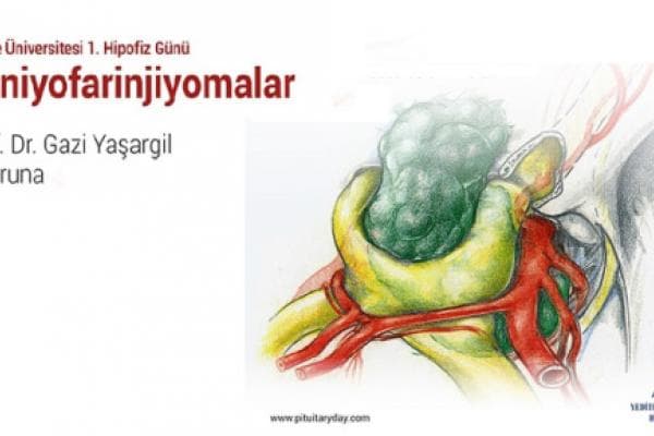 World's Top Physicians Arrive in Turkey in Honor of Prof. Dr. Yaşargil