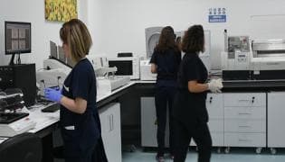 Tissue Typing Laboratory 6