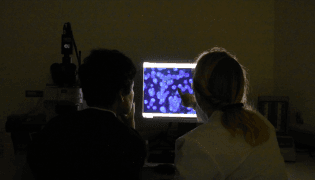 Genetic Diagnosis Center 7