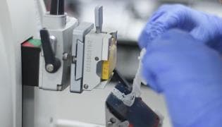 Tissue Typing Laboratory 4