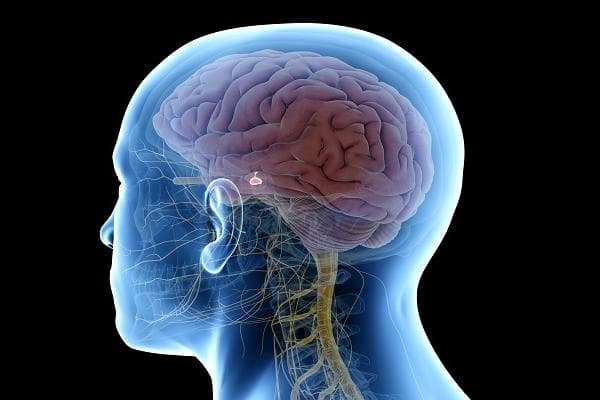 Pituitary Tumors